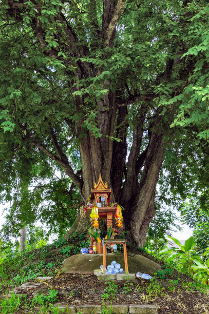 istock A spirit house on earth mound with a huge tree stands behind. 1274829845