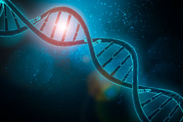DNA double helix strands on blue background 3D rendering illustr DNA double helix strands on blue background 3D rendering illustration with copy space. Science, medical, microbiology, genetics concepts. gene therapy stock pictures, royalty-free photos & images