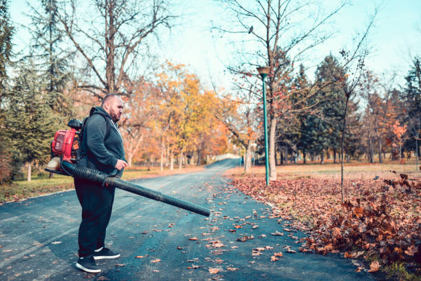 istock Bald Worker Blowing Leaves And Cleaning Park Road 1274846142
