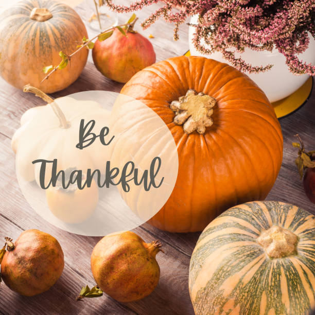 istock Autumn thanksgiving still life with pumpkins 1274852256