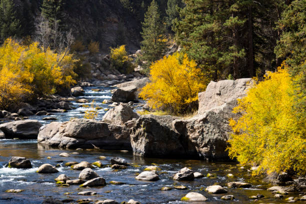 istock Autumn Color in Eleven Mile 1274859289