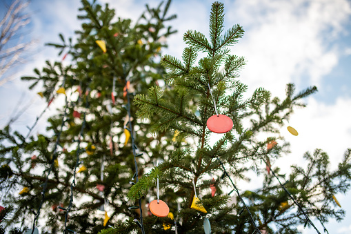 Germany: Colourful Christmas decorations hang on the Christmas tree.