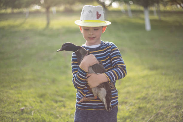 Duckling