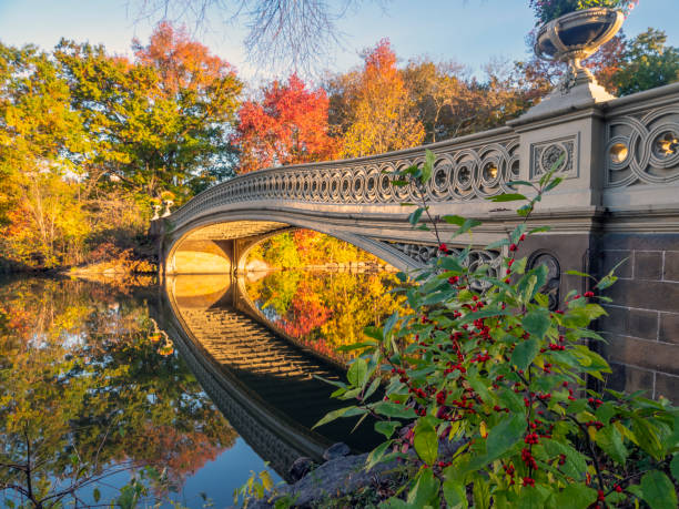 istock Bow bridge in late autumn 1274869529