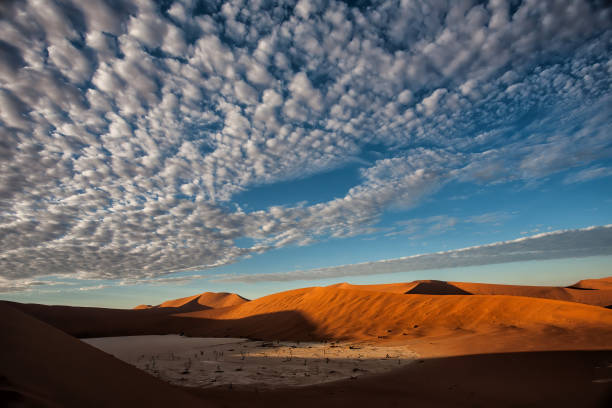 istock Dead trees with a beautiful cloudy sky in Dead Vlei in Sossusvlei 1274888356