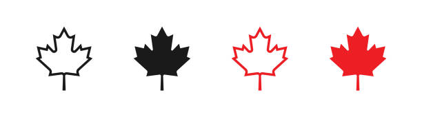 illustrations, cliparts, dessins animés et icônes de icône vectorielle de jeu de feuille d’érable. élément de logo du drapeau du canada, isolé - canadian icon