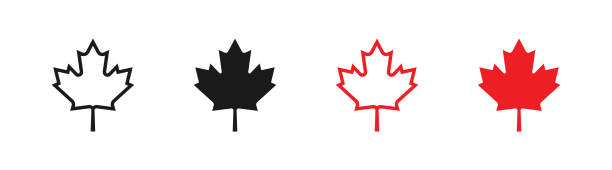 メープルリーフセットベクトルアイコン。カナダの旗のロゴ要素、孤立 - canadian icon点のイラスト素材／クリップアート素材／マンガ素材／アイコン素材