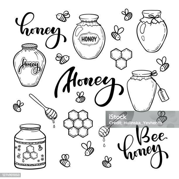 Set Of Black And White Honey Bee Jar Doodle Line Art Cartoon Comics Style  With Contour