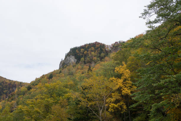 istock Mountains decorated with colorful leaves 1274918404