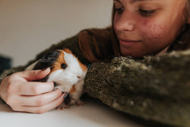 istock Enjoying time with my new pet 1274939256