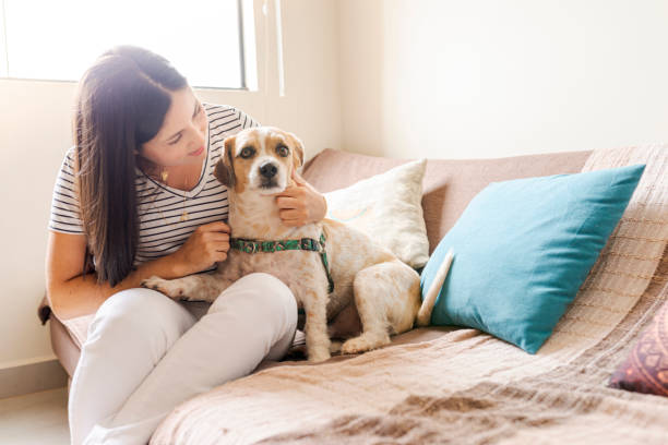 istock Young woman with her pet 1274939577