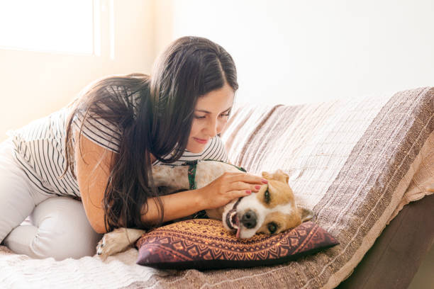 istock Woman petting her pet 1274939578