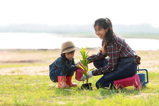 Asian family mom and kid daughter plant sapling tree outdoors in nature spring for reduce global warming growth feature and take care nature earth. Environment Concept