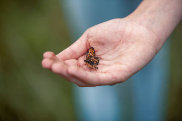 istock A graceful butterfly landing on the hand 1274958046