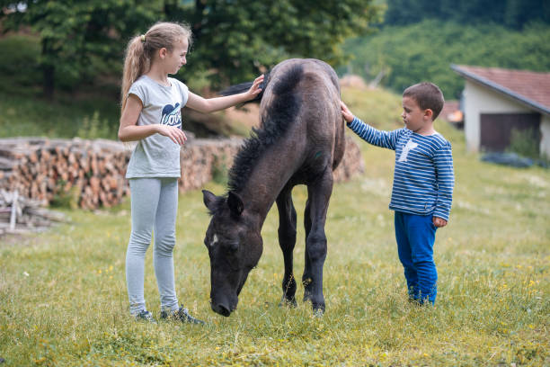 istock Kids playing around wit a horse at the farm 1274958921