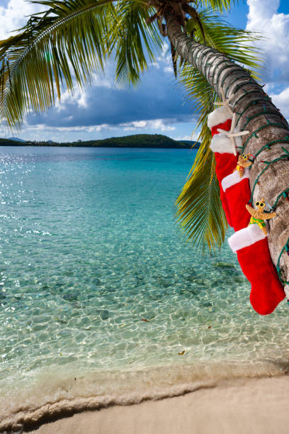istock Palm tree with Christmas stockings on a tropical beach 1274977345
