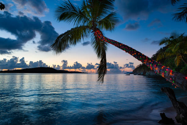 palma con luci di natale su una spiaggia tropicale - christmas palm tree island christmas lights foto e immagini stock