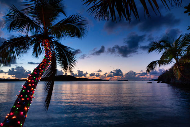 palmier avec des lumières de noël sur une plage tropicale - christmas palm tree island christmas lights photos et images de collection