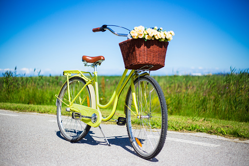 vintage bicycle with wicker basket and flowers on the road in countryside