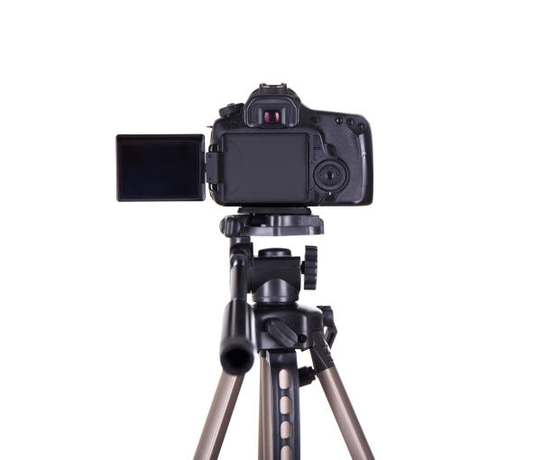 photography and videography concept - rear view of modern dslr camera with blank screen on tripod isolated on white stock photo