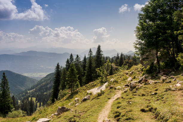 istock Hiking trail in the mountains 1274989584