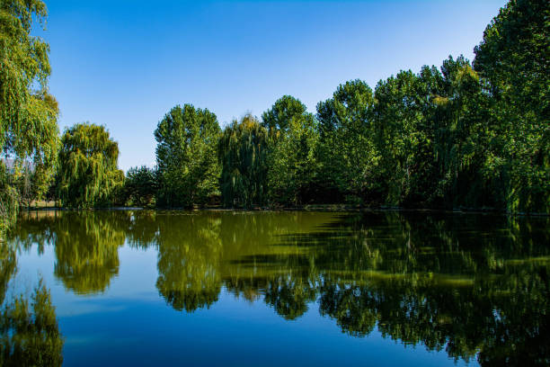 istock Small lake in the forest. Beautiful lake landscape. 1275010147