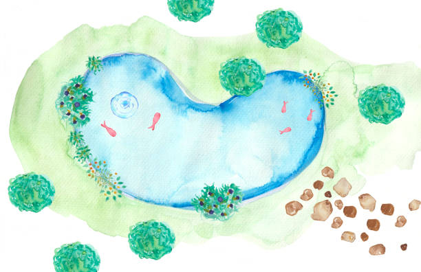 Tide Pools Vector 150+ Tide Pool Stock Illustrations, Royalty-Free Vector Graphics & Clip ...
