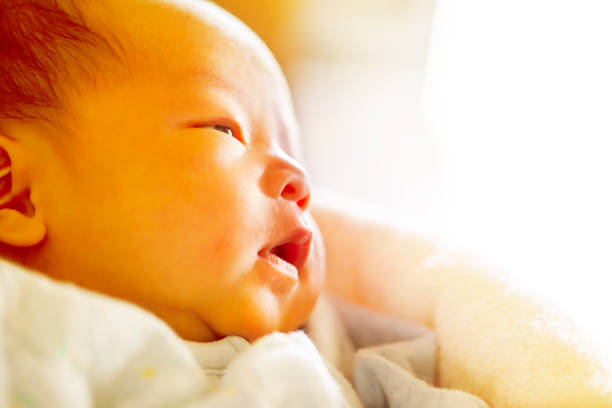 profile of cute 2 weeks old newborn baby with shallow depth of field with natural light. - new life one baby girl only beginnings babies only imagens e fotografias de stock