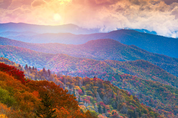 great smoky mountains national park, tennessee, usa am newfound pass - newfound gap stock-fotos und bilder