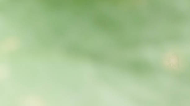 istock abstract green color in blur photo 1275060777