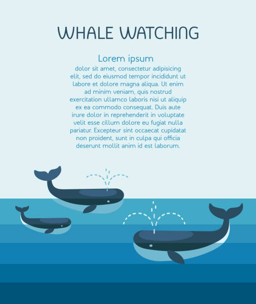 ilustraciones, imágenes clip art, dibujos animados e iconos de stock de familia de ballenas. - cachalote
