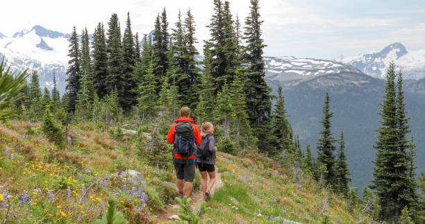 istock Hiking couple walk along forested trail through alpine meadow 1275061027
