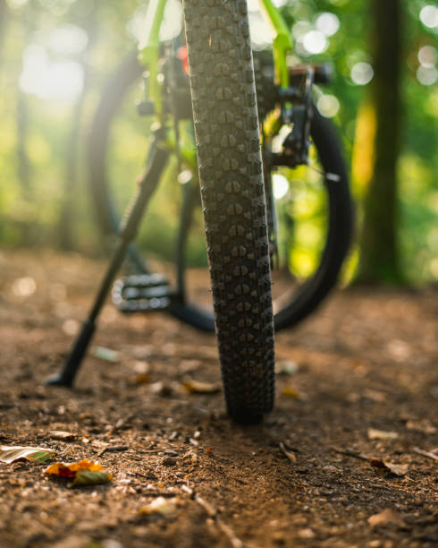 istock Close up tire mountainbike 1275070914