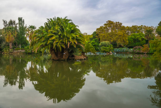 istock Barcelona city 1275075228