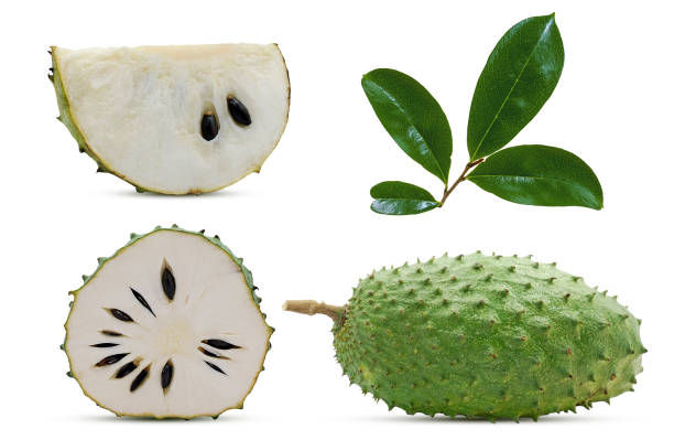 Soursop or custard apple fruit isolated on white background Soursop or custard apple fruit isolated on white background annona muricata stock pictures, royalty-free photos & images