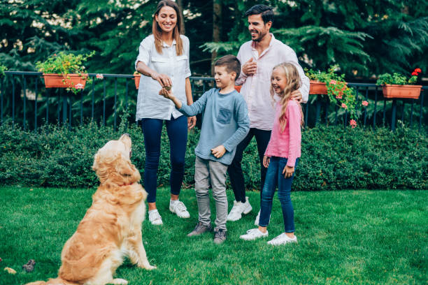 istock Having fun in the garden with our dog. 1275093783