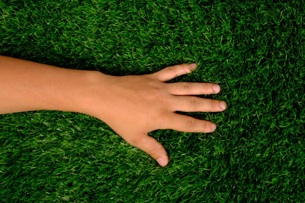 istock hand on the lawn, left hand on green grass close-up 1275103855