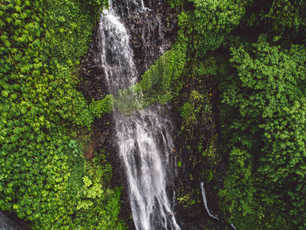 istock Scenic View Of Waterfall In Forest 1275113791