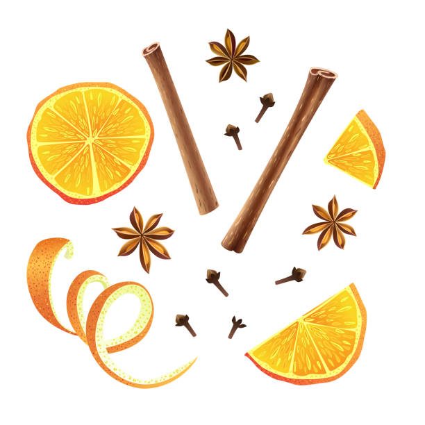 ilustrações de stock, clip art, desenhos animados e ícones de set of orange, star anise, cloves and cinnamon - food and drink fruit cartoon illustration and painting