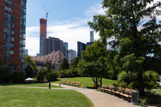 Empty Park on Roosevelt Island with Green Grass and Empty Benches with a view of Manhattan Skyscrapers An empty park on Roosevelt Island in New York City with green grass and empty benches during summer with a view of Manhattan skyscrapers roosevelt island stock pictures, royalty-free photos & images