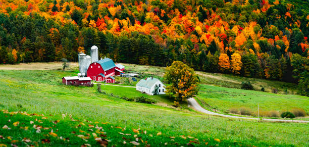 istock Rustic farm scene in rural vermont during autumn with fall colors changing and a bountiful harvest and a traditional American scene depicting home for the holidays 1275135113