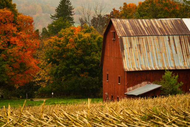 istock Rustic farm scene in rural vermont during autumn with fall colors changing and a bountiful harvest and a traditional American scene depicting home for the holidays 1275140816