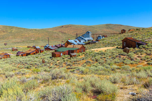 istock Standard Consolidated Mining Company 1275143138