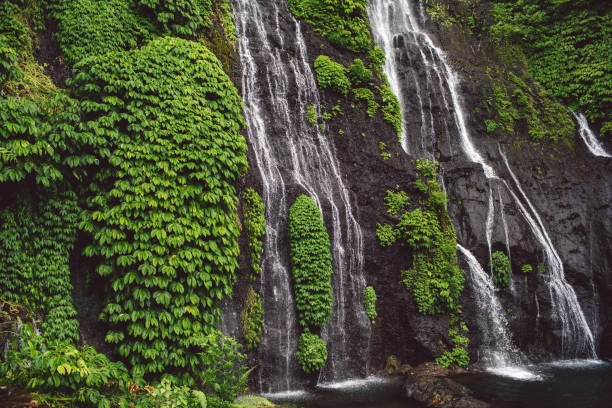 istock Scenic View Of Waterfall In Forest 1275152513
