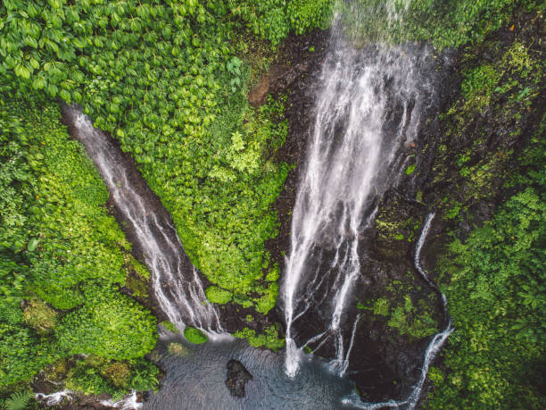 istock Scenic View Of Waterfall In Forest 1275152527