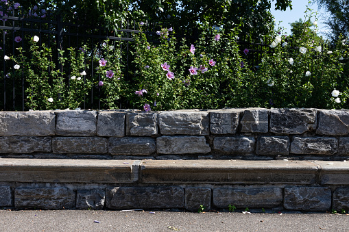 An empty stone bench at Southpoint Park on Roosevelt Island of New York City with green plants and flowers in the background during summer