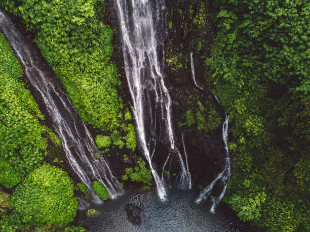 istock Scenic View Of Waterfall In Forest 1275175622