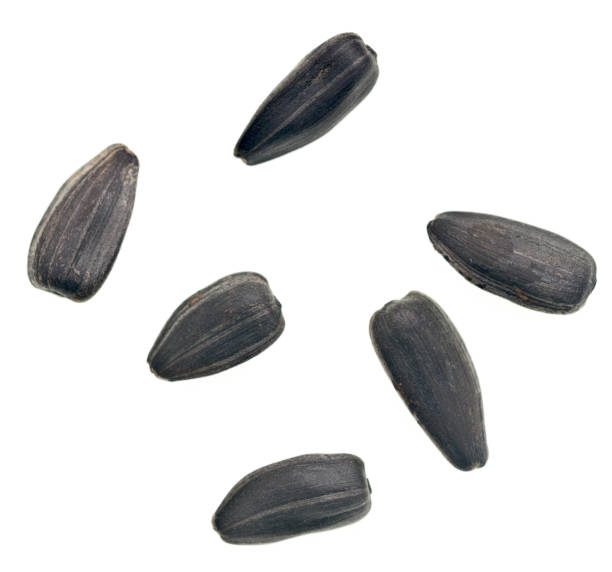 istock Sunflower seeds isolated on white background 1275191670