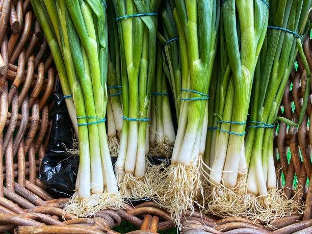 istock Bunches of spring onions 1275222788