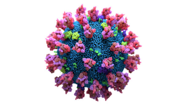 The coronavirus spike protein that mediates coronavirus entry into host cell The coronavirus spike protein that mediates coronavirus entry into host cell human genome map stock pictures, royalty-free photos & images